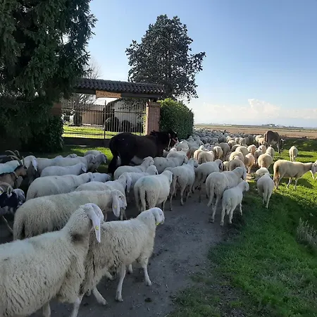 Cascina Brignolo * نوفارا