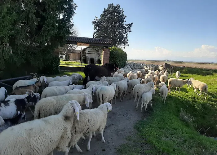 Cascina Brignolo * Novara